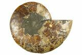 Cut & Polished Ammonite Fossil (Half) - Crystal Pockets #310589-1